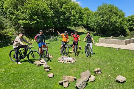 E-bike tour through Madonie Park with olive oil tasting