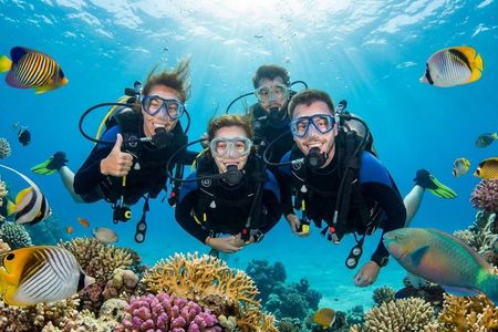 Diving experiences and courses in Marsa Alam