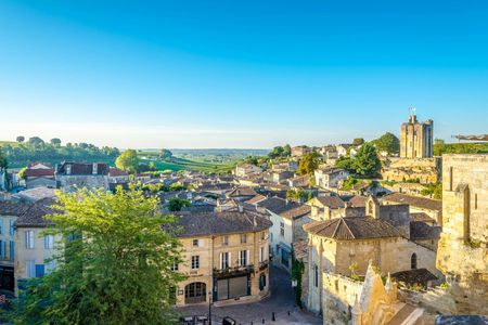 Saint-Emilion vineyards e-bike tour and wine tasting