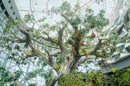 The Green Planet general admission and F&B meal