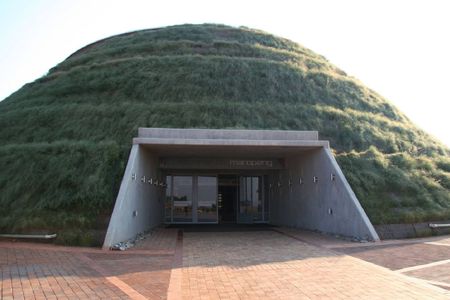 Cradle of Humankind half-day tour from Johannesburg