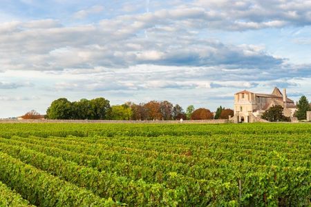 Bordeaux wine tour with chateau visit and tasting
