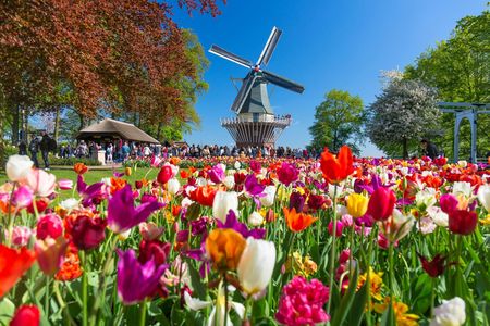Schiphol airport shuttle and entry to Keukenhof with flexible return