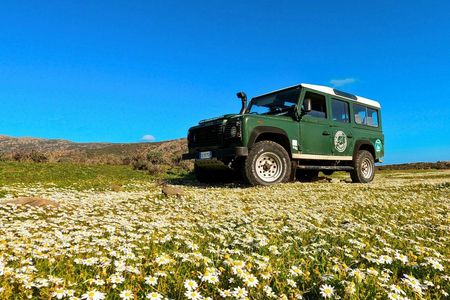 Off-road tour to Argentiera and Porto Ferro from Alghero
