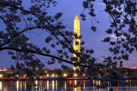 DC Monuments night tour with 10 stops and cherry blossoms