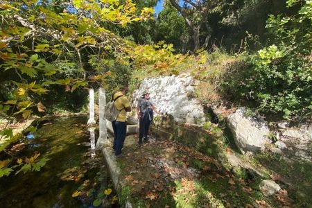 Hike on the trail of springs with olive museum visit in Lefkada