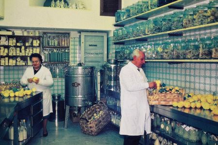 Limoncello factory tour and tasting in Amalfi's centre