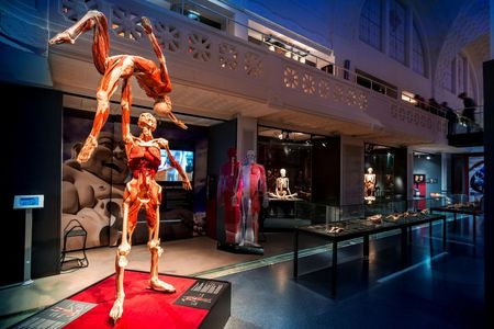 BODY WORLDS Heidelberg entrance tickets