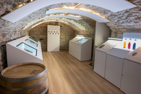 Le Petit Musée du Vin ticket with wine tasting in Lyon