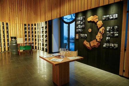 Guided tasting of Etna's extra virgin olive oil