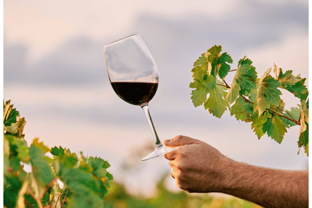 Winery visit in La Rioja with tasting and lunch from Vitoria