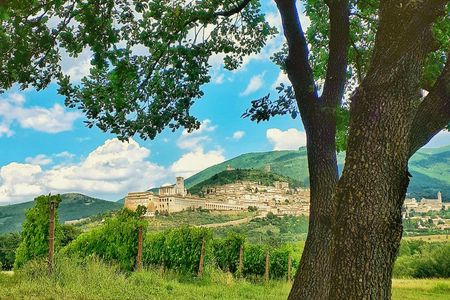 Assisi vineyard guided tasting with aperitif