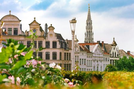 Navigate Brussels's most Insta-perfect spots with a local