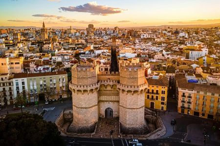 Valencia and La Albufera day trip with boat ride from Alicante