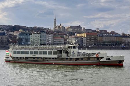 Danube cruise with audioguide and panorama terrace