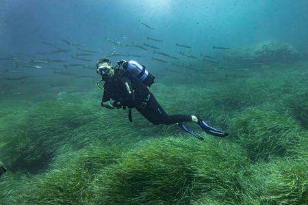 SSI 1 day scuba diver course in Mallorca