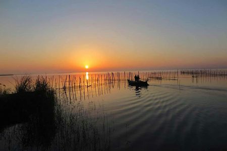 Albufera wildlife boat tour with meal included