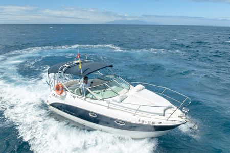 Small-group cruise in Tenerife