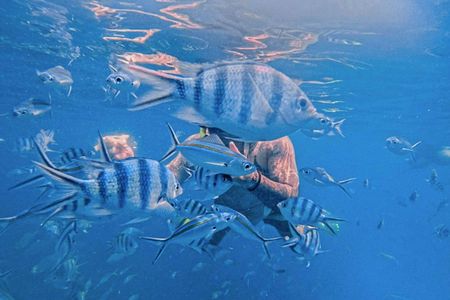 Koh Chang 3 islands snorkelling and fun fishing experience