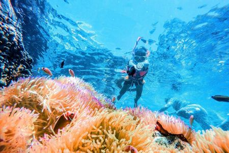 Koh Chang 4 islands snorkelling Rang National Park experience