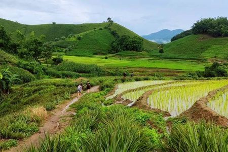 One-day trekking and Karen Village