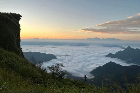 Phu Chi Fah sunrise and Doi Pha Tang guided day-trip