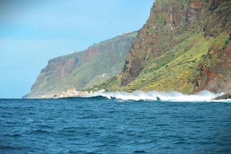 Madeira Island whale watching and snorkelling private tour