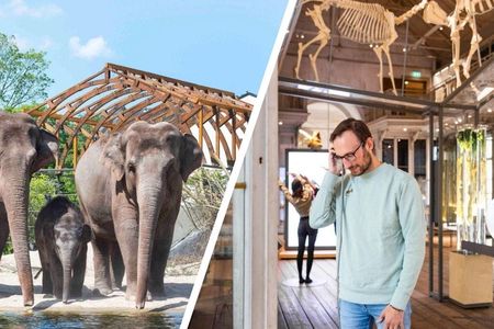 ARTIS Amsterdam Royal Zoo and ARTIS-Groote Museum Entrance Ticket