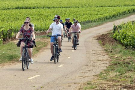 Bike and wine day tour in Burgundy's Côte de Beaune