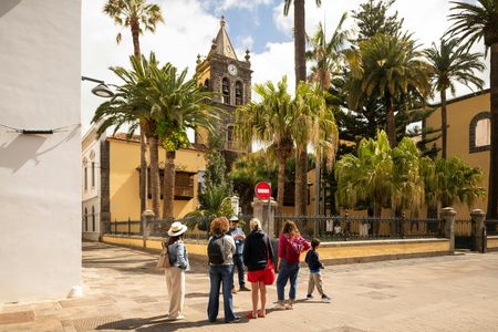 Full-Day Tenerife Tour with La Laguna and Lunch