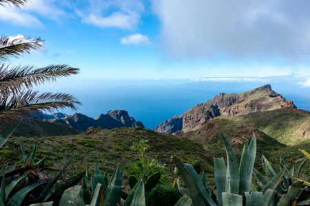 Full-day guided northwest Tenerife hidden secrets tour