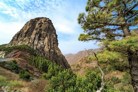 La Gomera tour with Garajonay Forest and San Sebastian