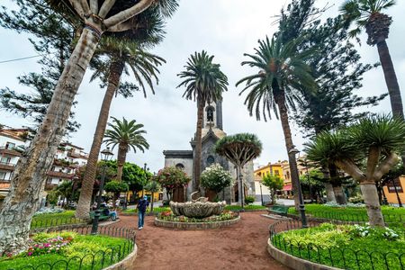 Tenerife Tour with Teide National Park and lunch