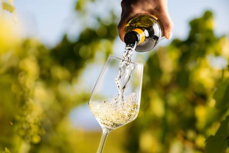 Wine tasting at Quinta dos Novais in Douro Valley