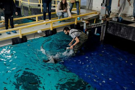 Behind-the-scenes guided tour at Oceanário de Lisboa