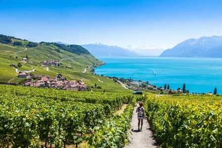 Wine tour in the Lavaux vineyards