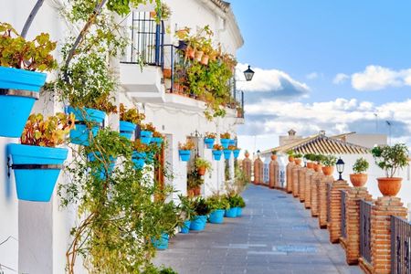 Marbella and Mijas private tour from Malaga