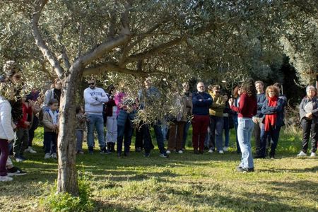 Organic Sicilian honey tasting and beekeeping tour