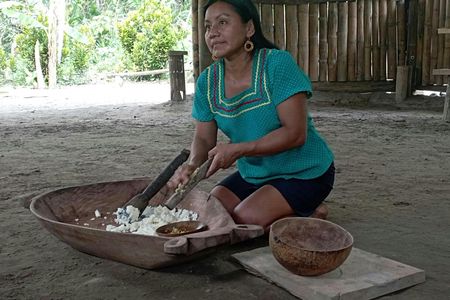 Day tour to discover the jungle with river adventure