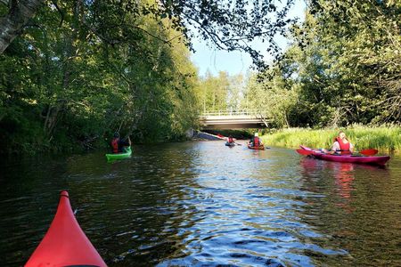 Guided kayak safari on the Oulu River delta