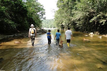 Napo Province primary rainforest guided tour with a local