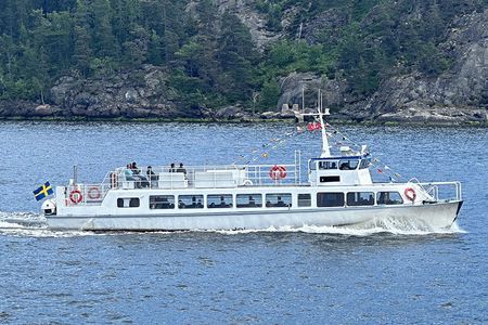 Stockholm archipelago highlights 45-minute boat tour with guide
