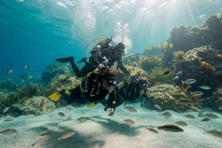 First-time Scuba Diving Experience by Boat in Mallorca