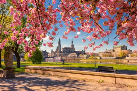 Tour of Dresden's most photogenic spots with a local