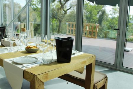 Vinho Verde vineyard and wine tasting experience