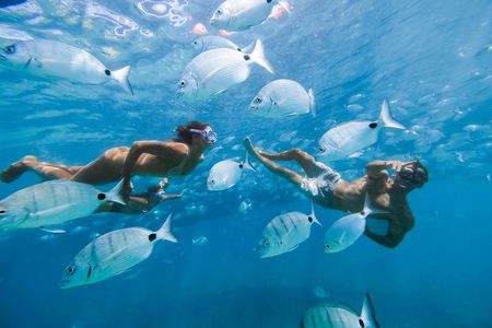 Lobos island ferry and snorkeling experience from Corralejo