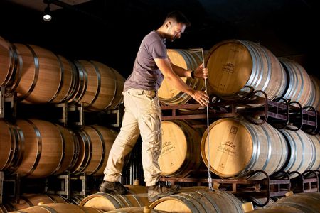 Guided tour of the Douloufakis Winery with estate-crafted wine tasting