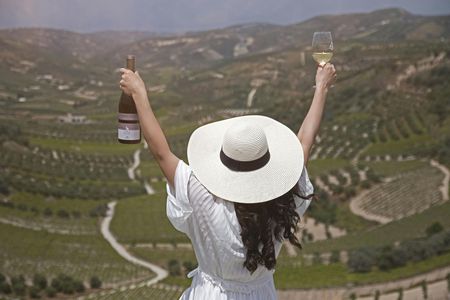 Douloufakis Winery and Asimiri Vineyard guided tour with tastings