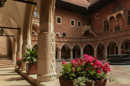 Private walking tour through Kraków's University District