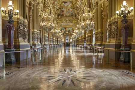 Guided tour of Fragonard Museum and Opéra Garnier